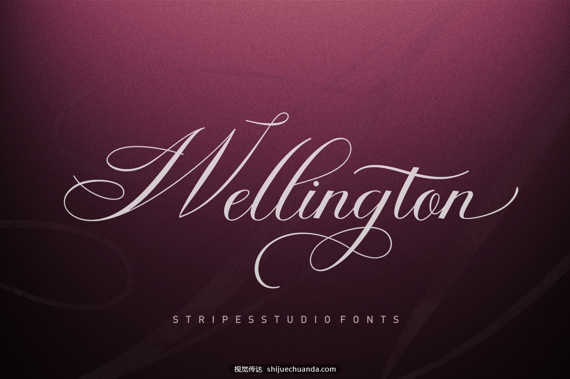 Wellington-Script-by-Stripes-Studio.jpg