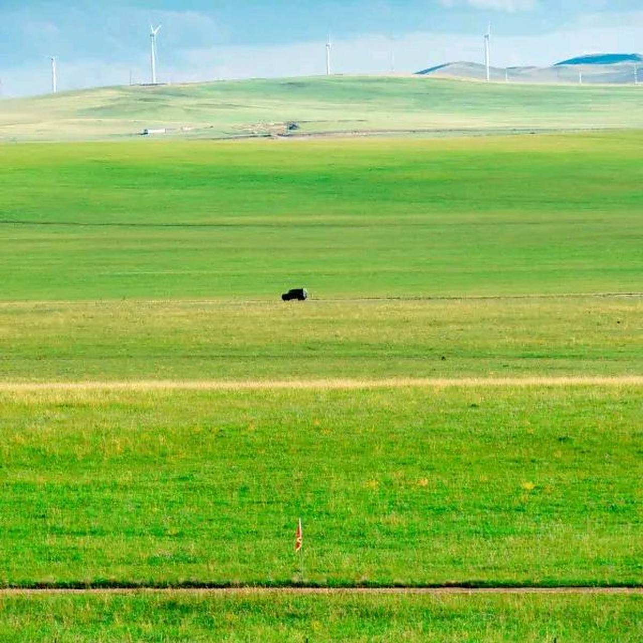 科尔沁草原位于内蒙古通辽市,是中国北方最大的天然草原之一.