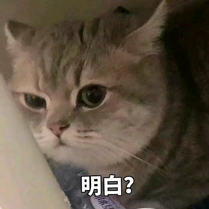 热门表情包图片:请开始你的表演,谢谢,姐姐不需要