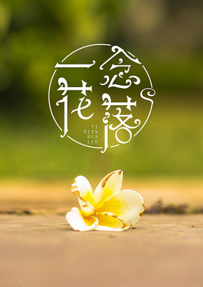 一念花开,一念花落
