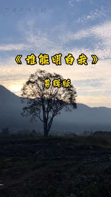 经典老歌谁能明白我一曲终了唱尽多少辛酸