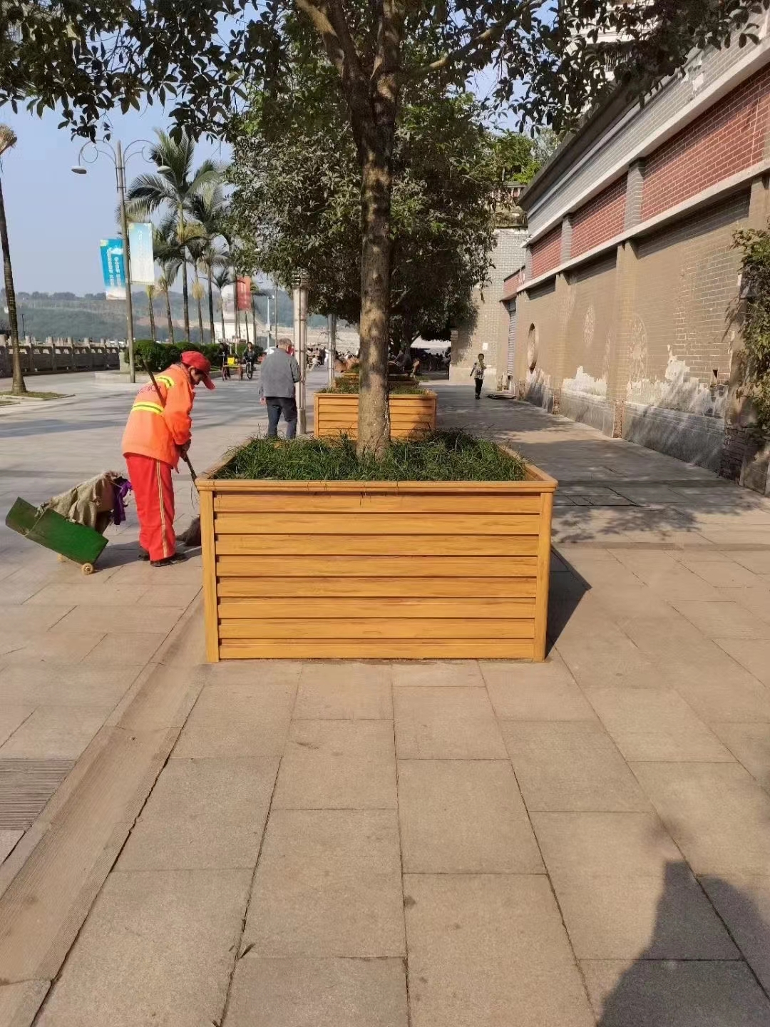 花箱种树怎么种好?
