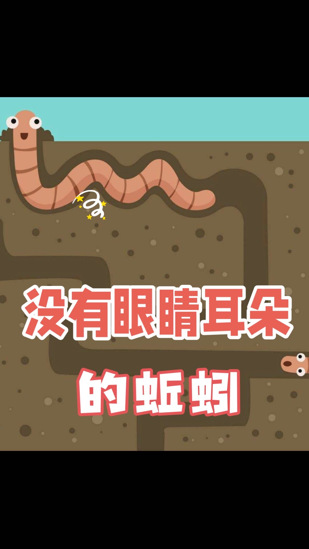 没有眼睛耳朵的蚯蚓