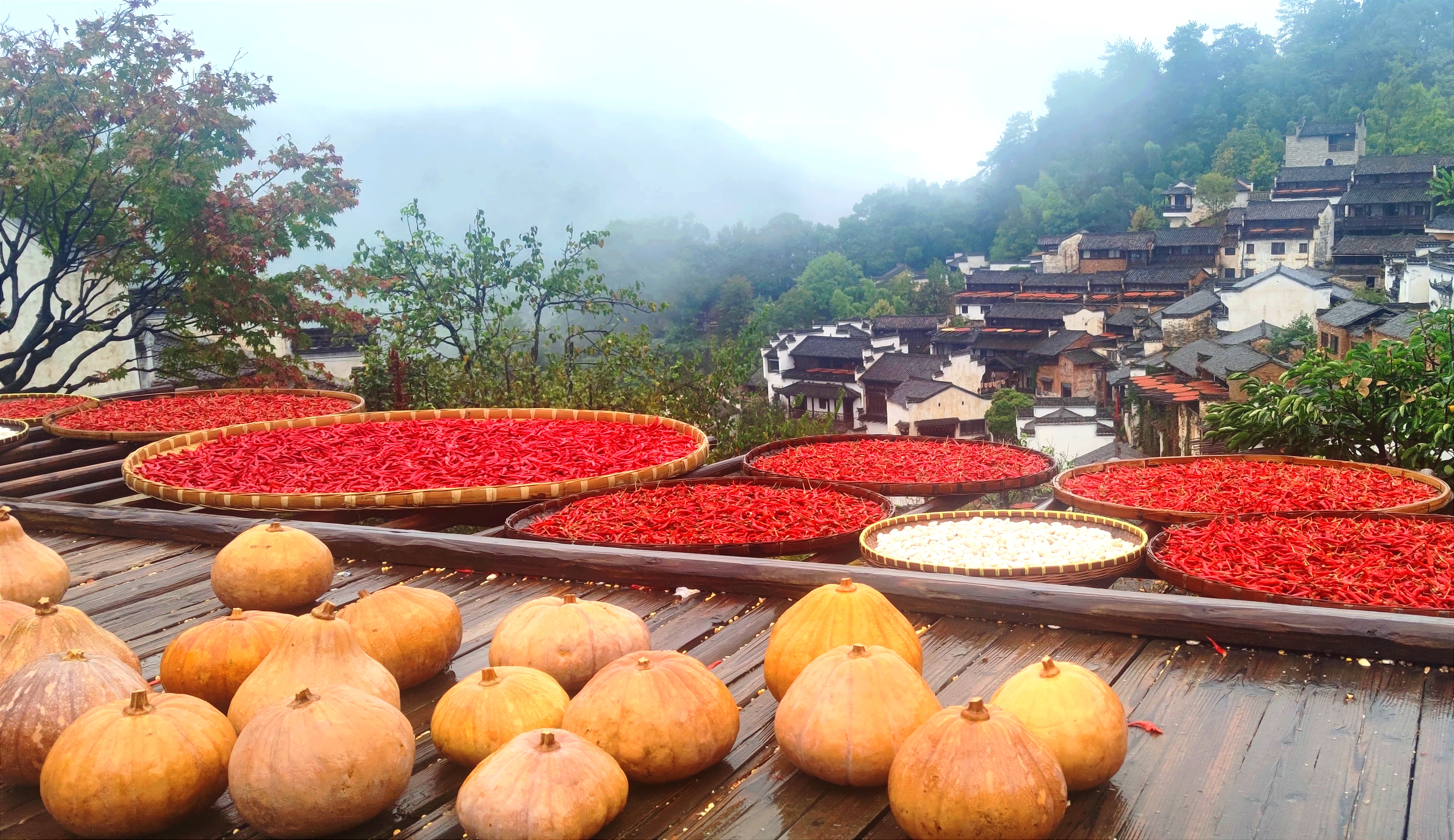 婺源篁岭景区图片大全图片