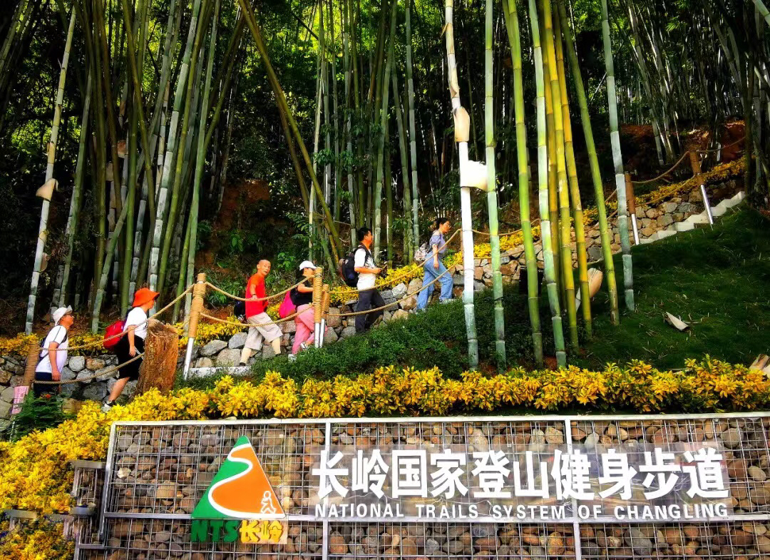 黄埔"区灯"——中华灯,你见过吗?