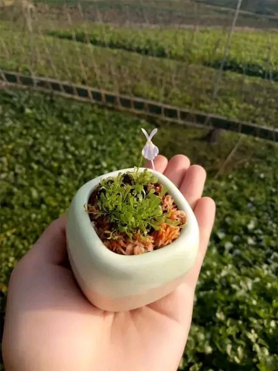 小时候穿个开裆裤 这个抱抱,那个亲亲 如今长大了 没人敢抱,也没人敢