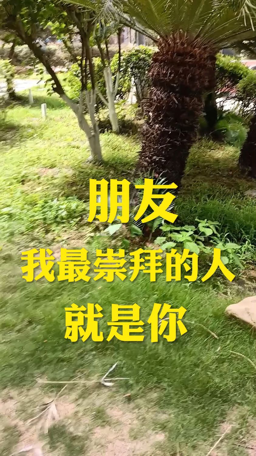 朋友,我最崇拜的人就是你.