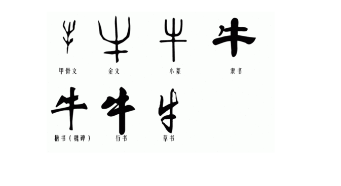 牛字的演变汉字图片