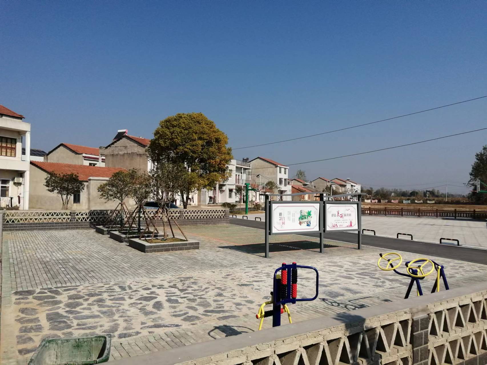 新洲区阳逻街环境整治显成效 美丽乡村焕新颜