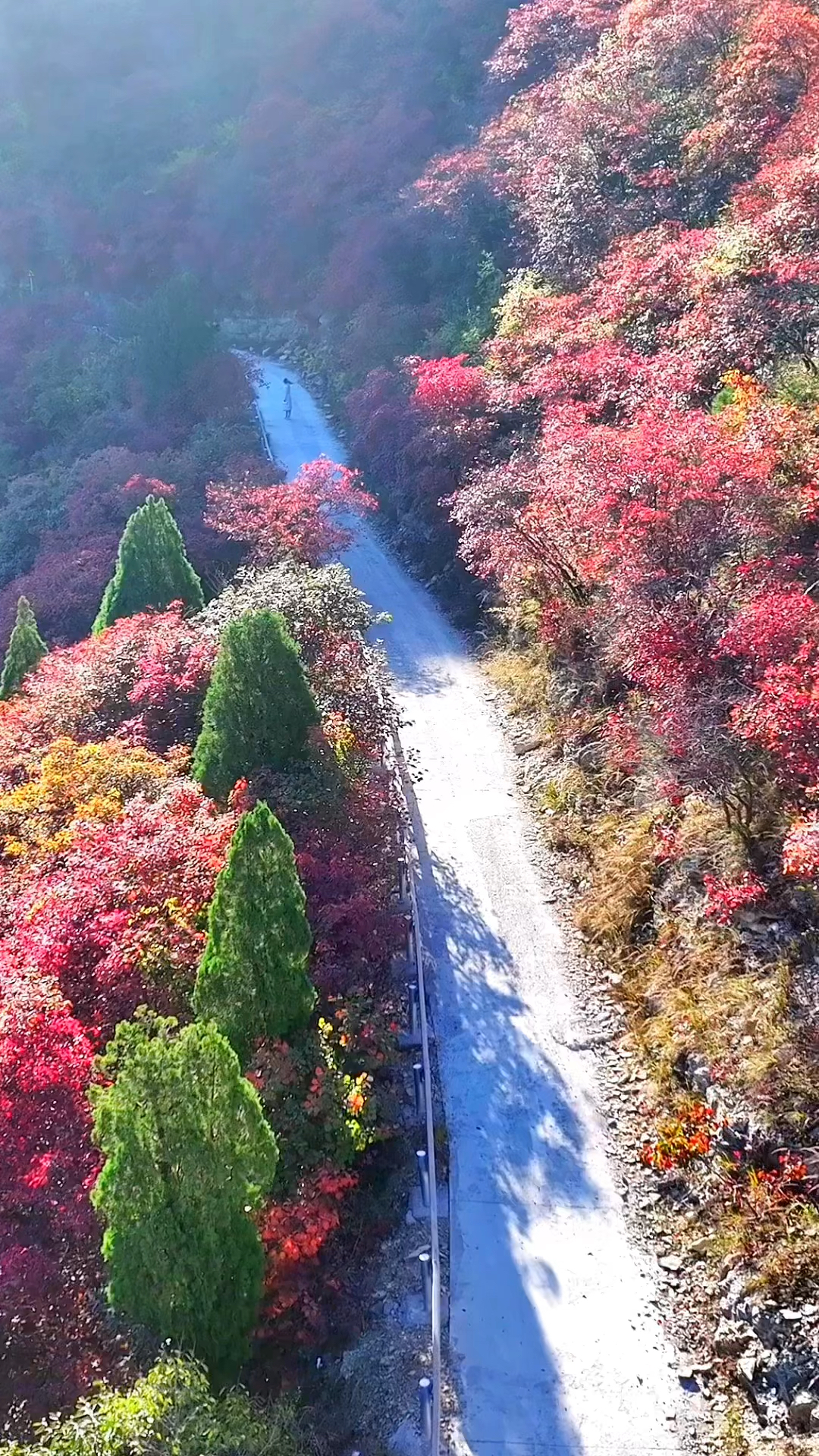 济南彩石大学城图片