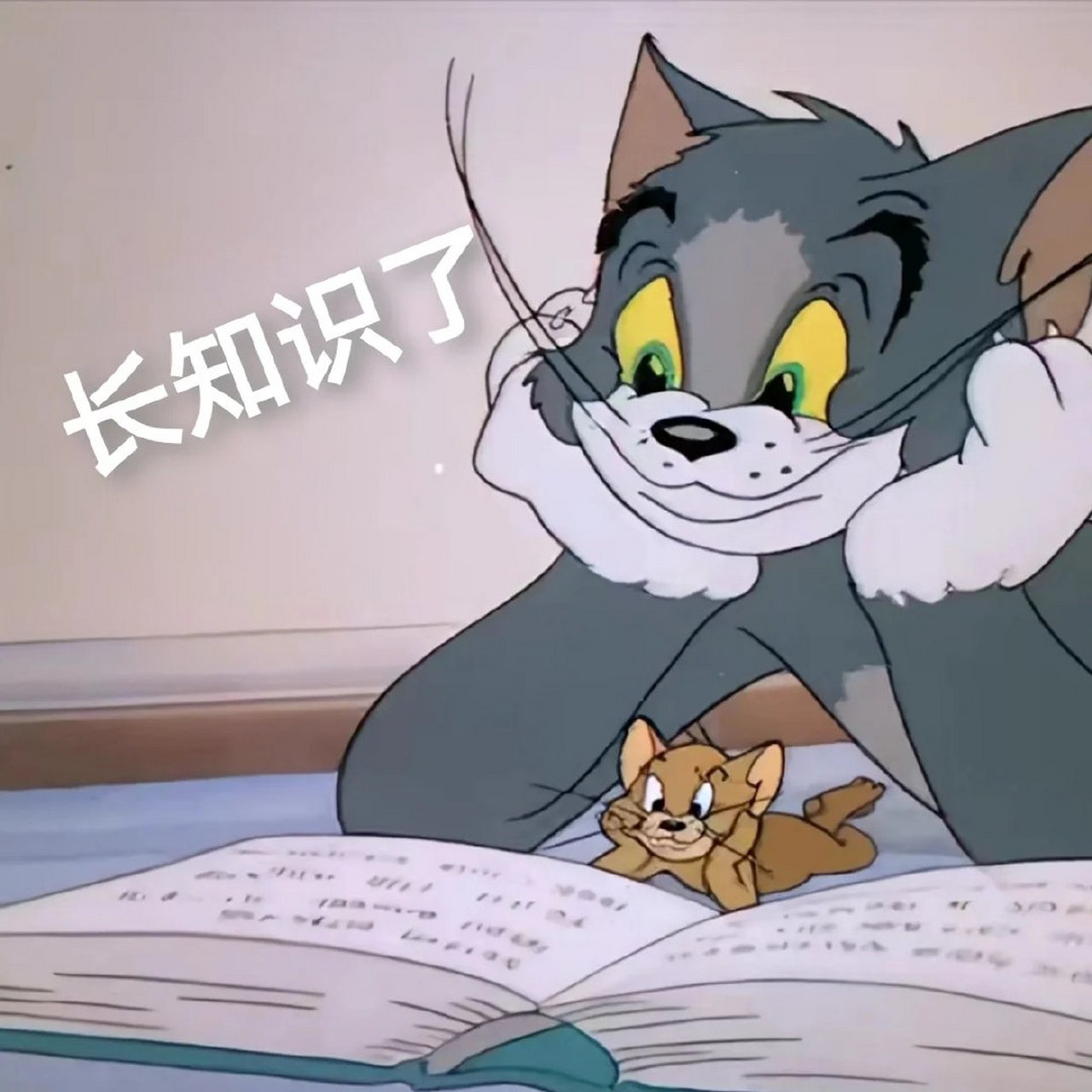 猫和老鼠363436373039搞怪表情包 676767