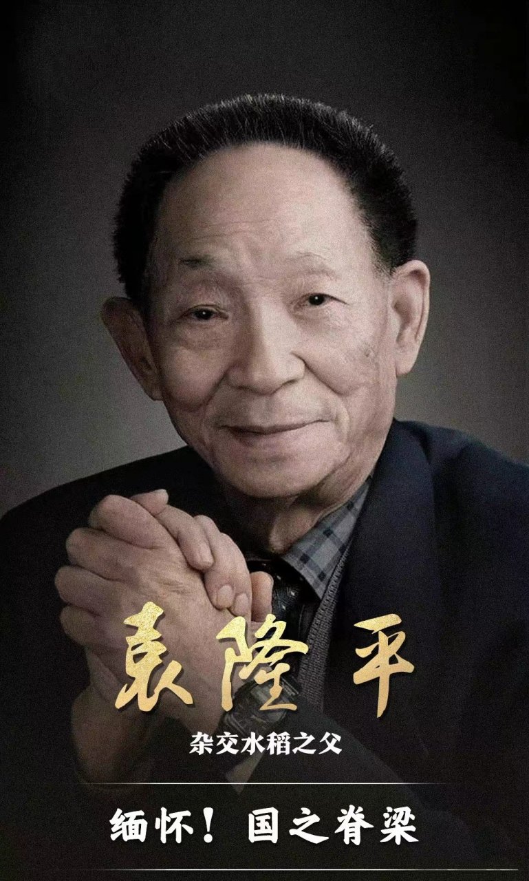 司徒森森心语simon