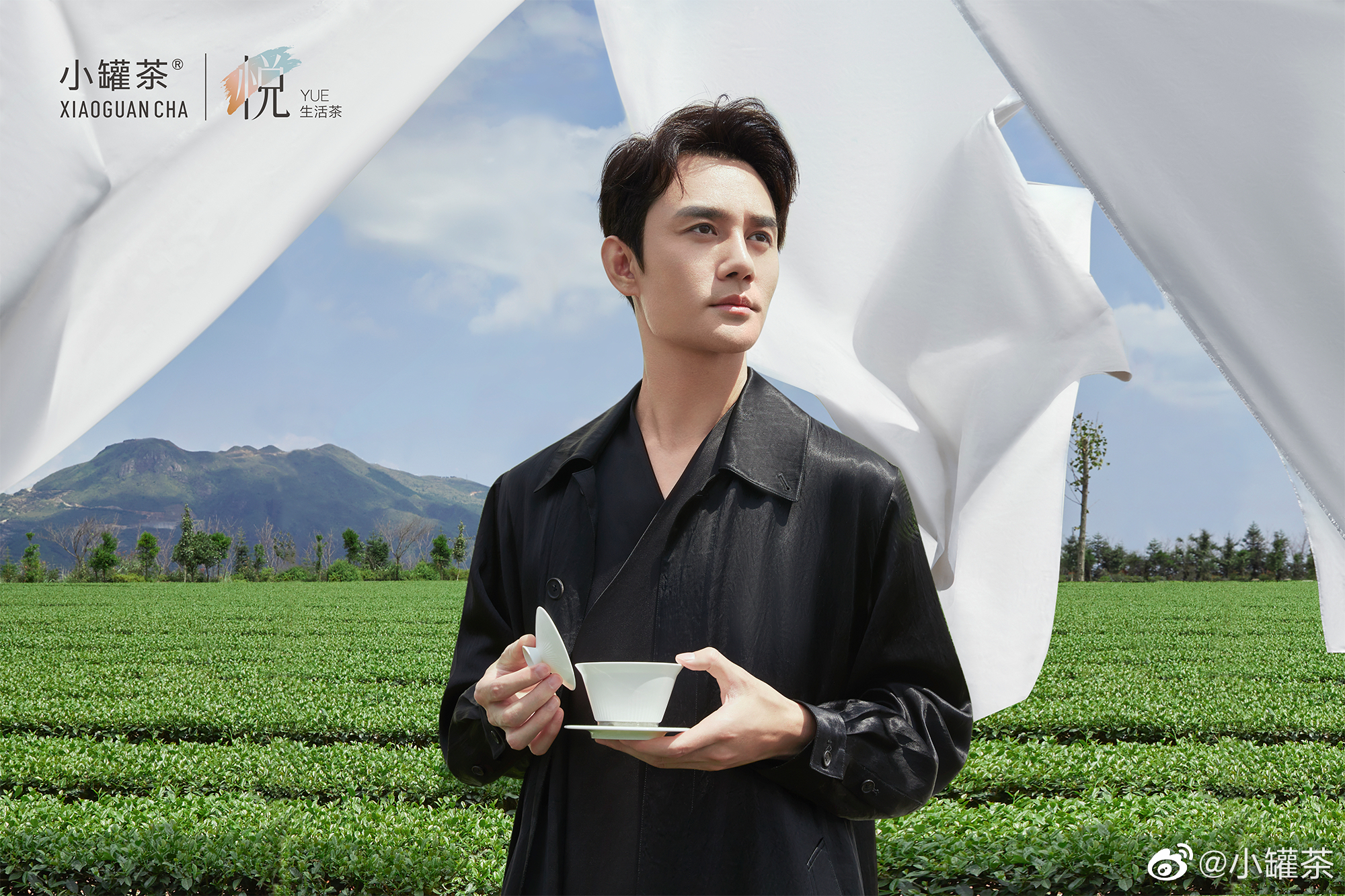 「王凯」小罐茶品牌代言人