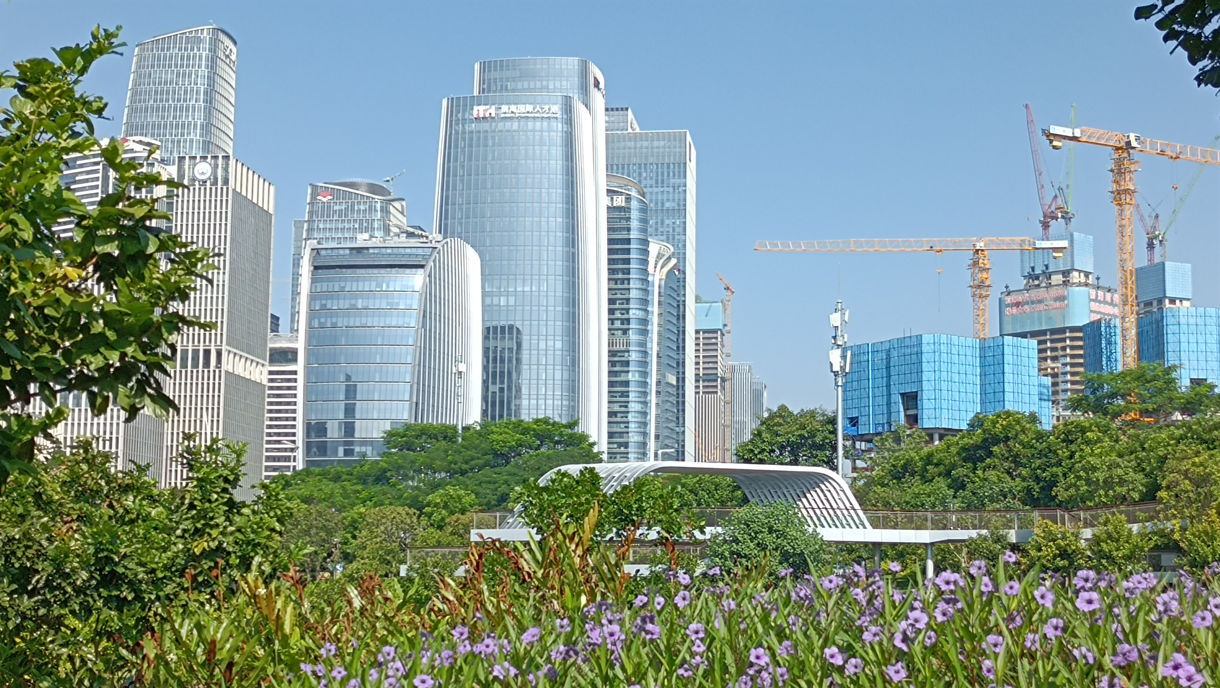 深圳前海桂湾公园风景