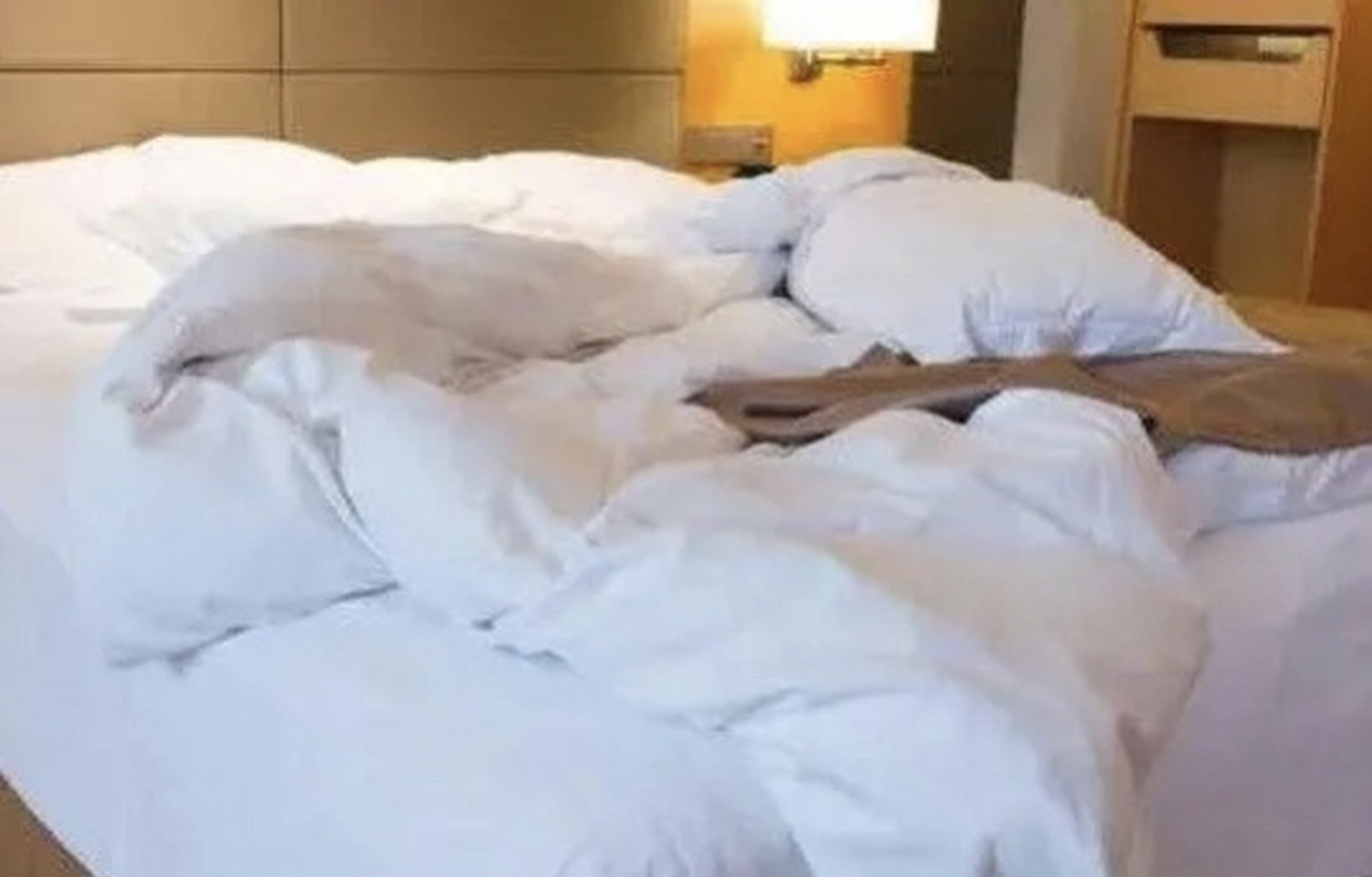 一年内开房265次,花费近几十万,甘肃省安阳市58岁