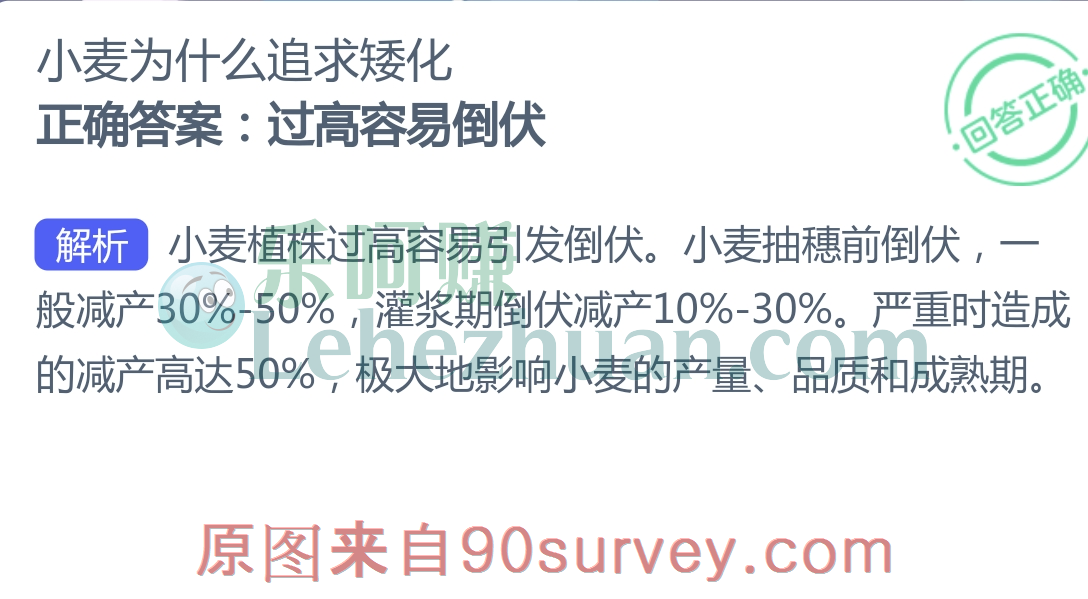 小麦过高容易倒伏 小麦过高容易倒伏