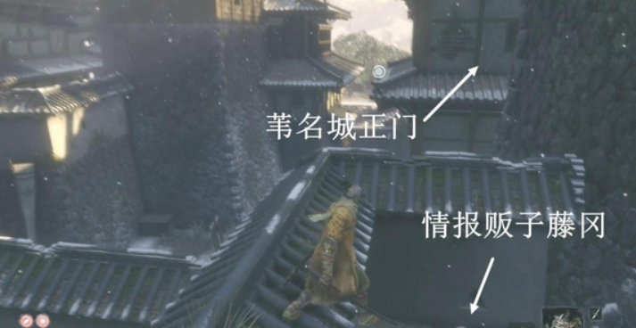 关于只狼葫芦种子的位置介绍