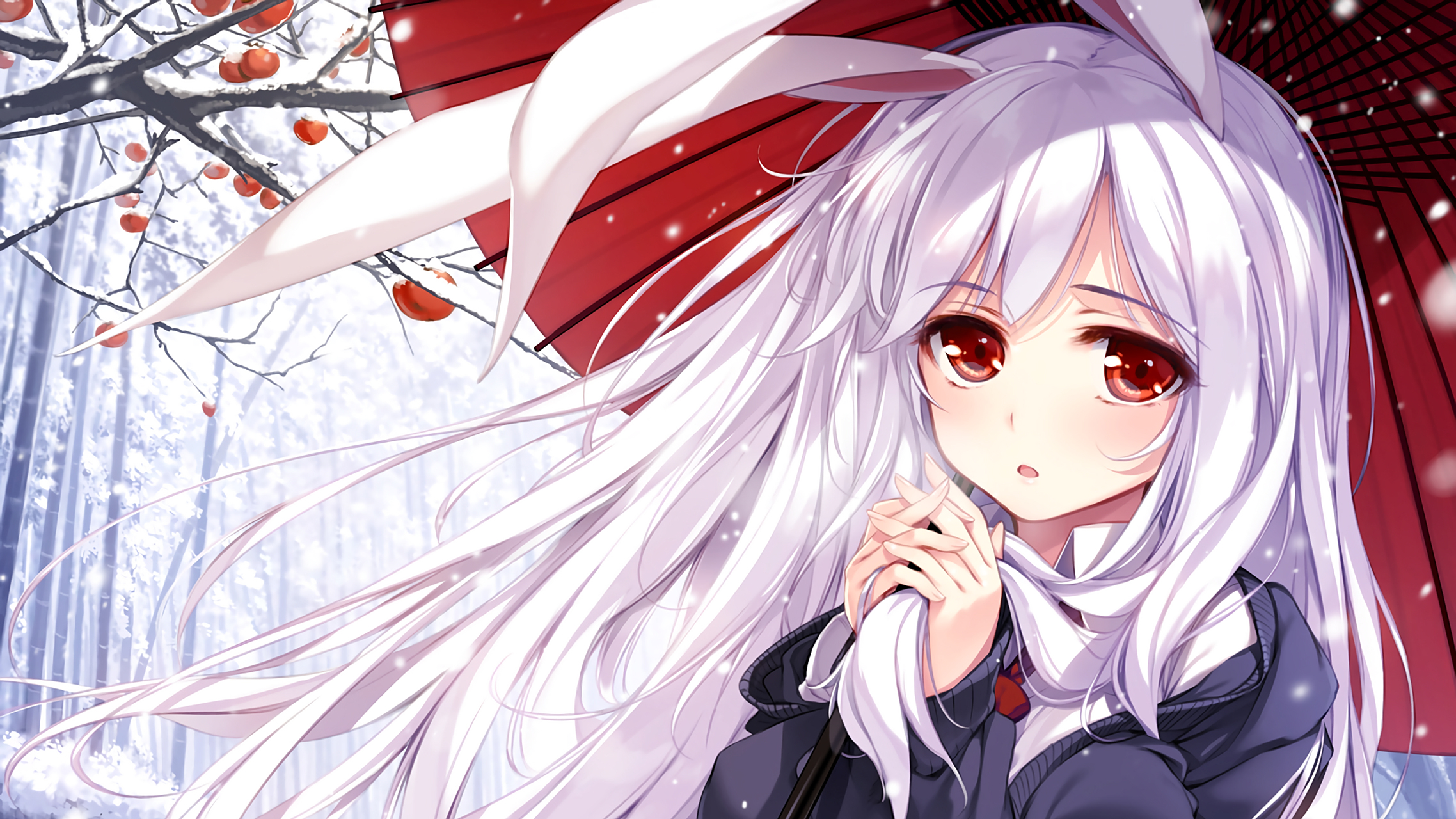 雪中打伞的兔子小姐,#二次元美图# #动漫美图