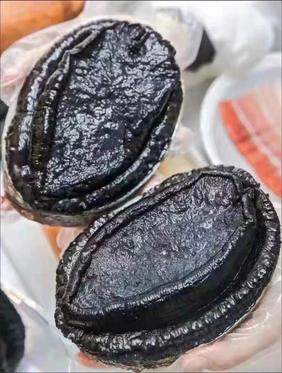 黑金鲍,黄金鲍!鲍鱼中的天花板 营养非常高