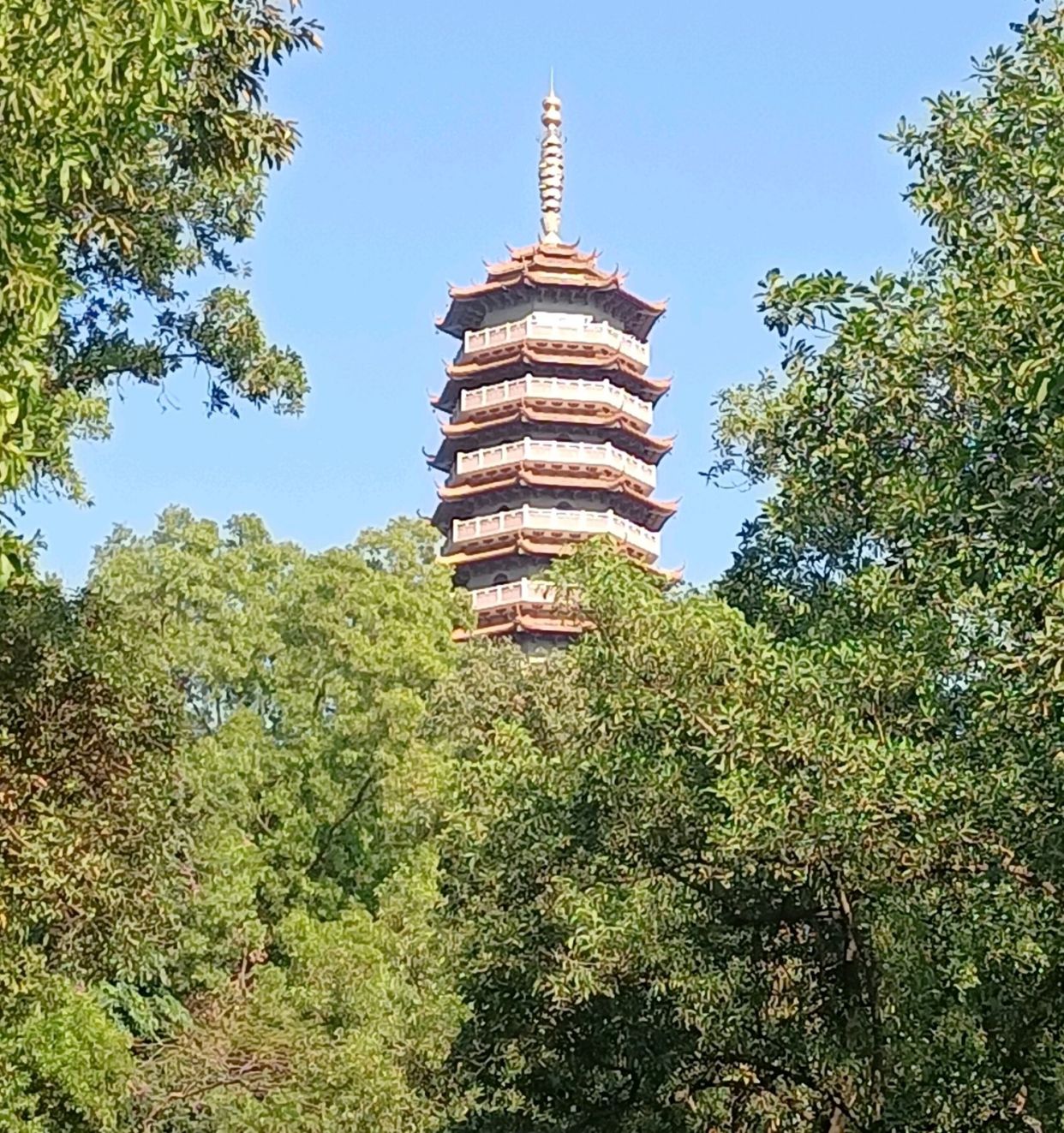 江门市白水带龙光塔