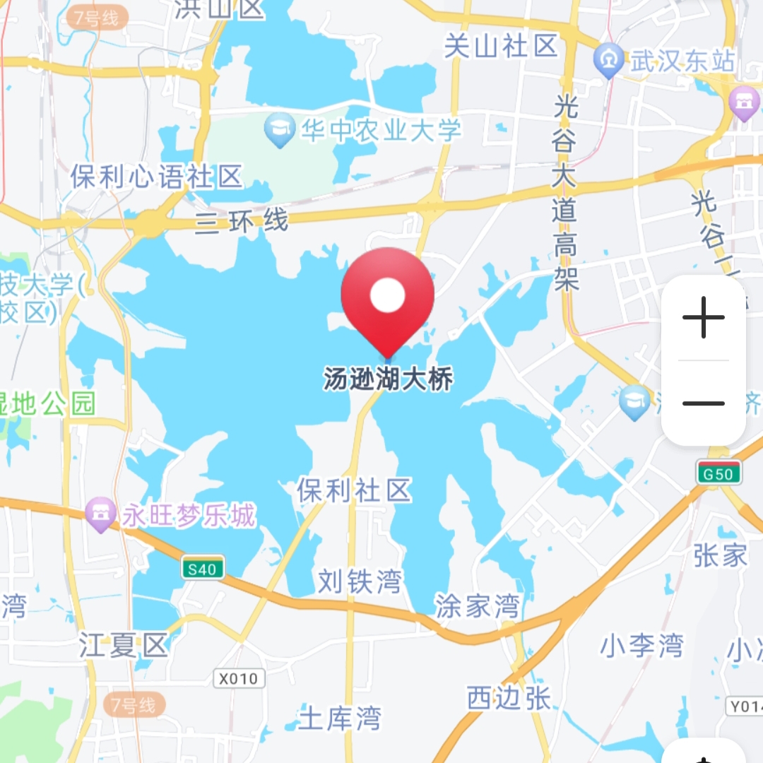 望武汉汤逊湖两岸早日统一,造福两岸人民