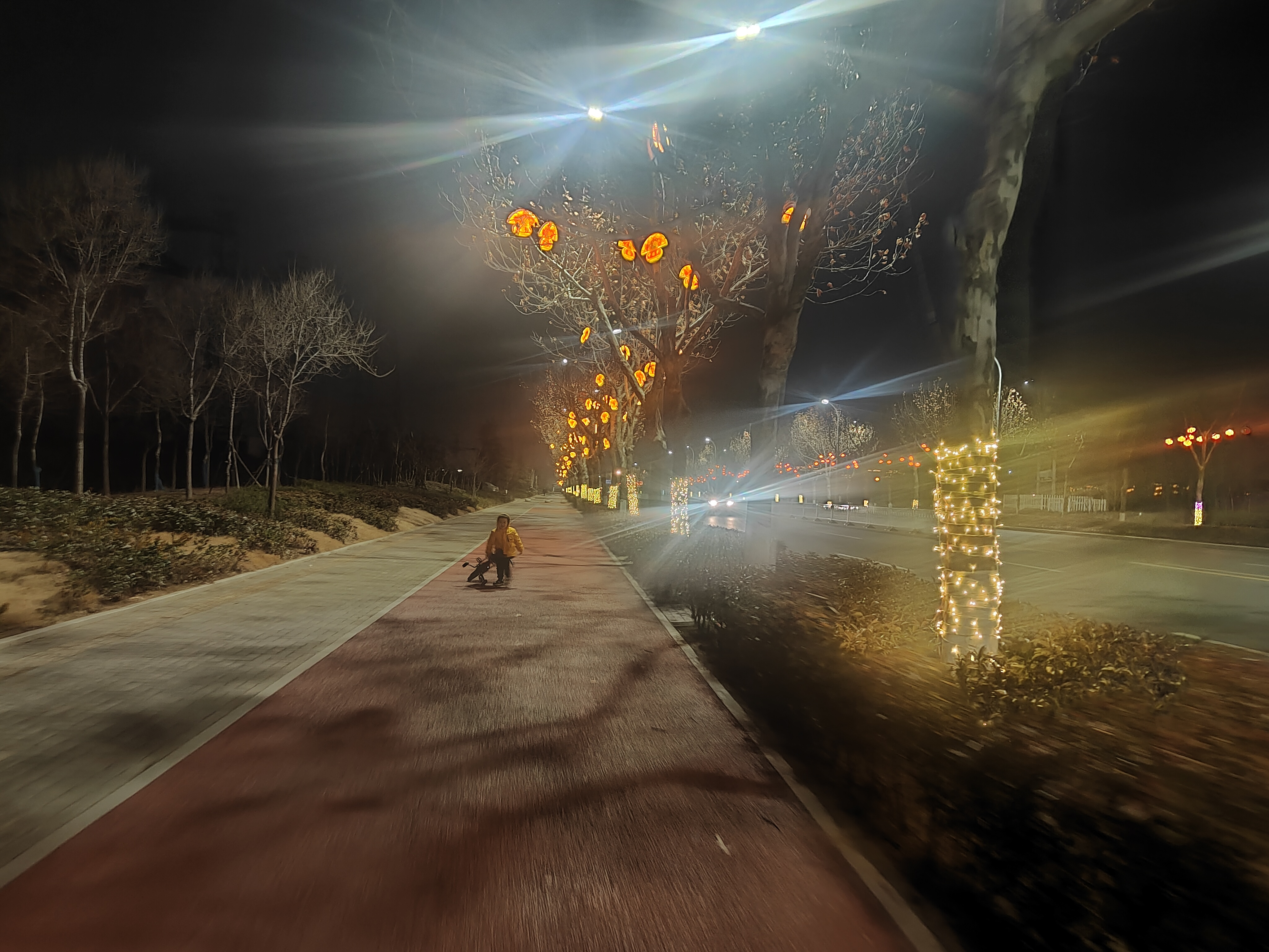 还有张灯结彩的行道树上挂的彩灯,小孩子很喜欢.