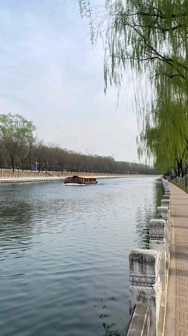 智库内参舆情杨兆波:京城水系就是一道靓丽的风景线