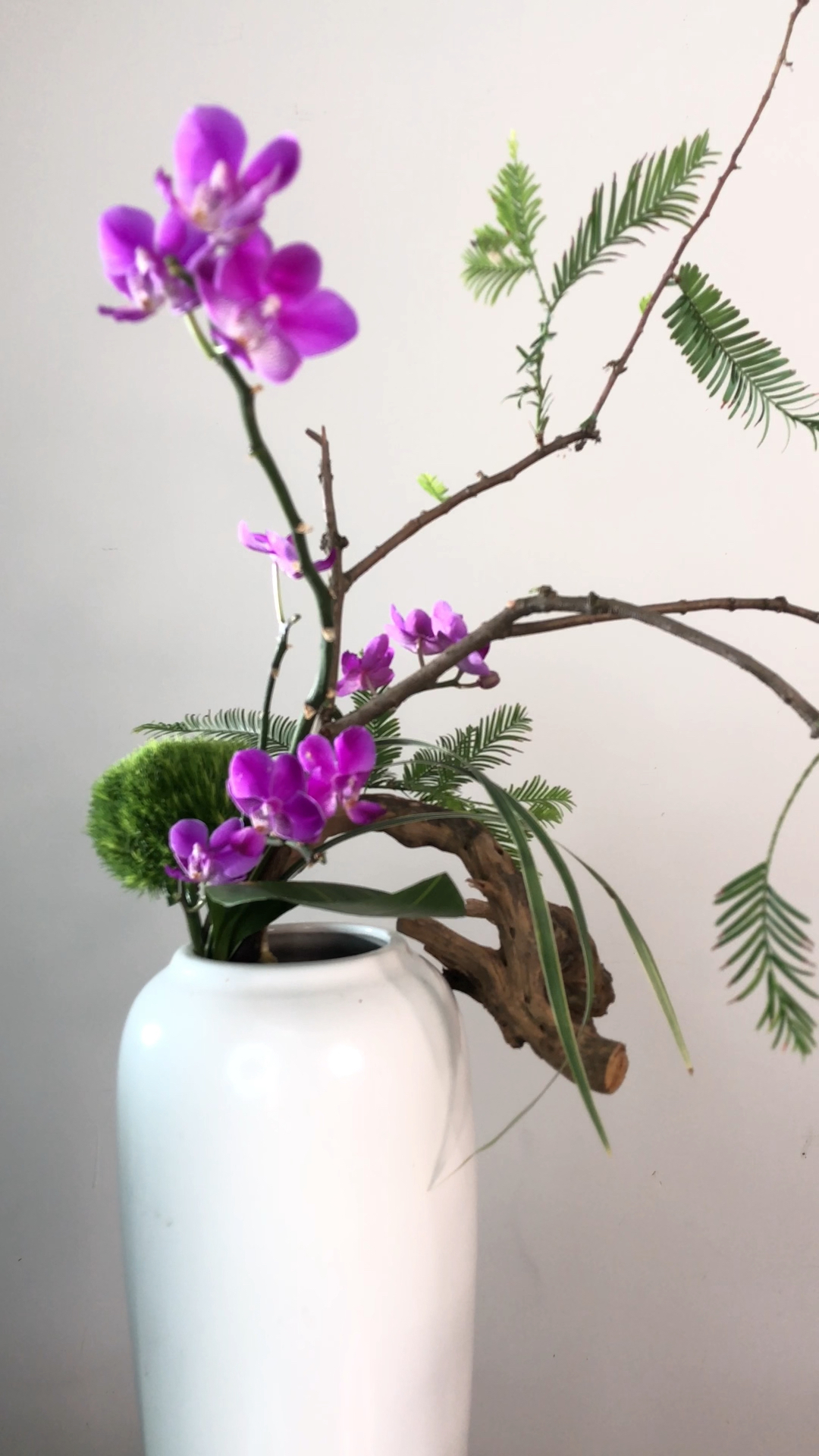 东方插花,蝴蝶兰插花#瓶插花#东方插花#中式插花