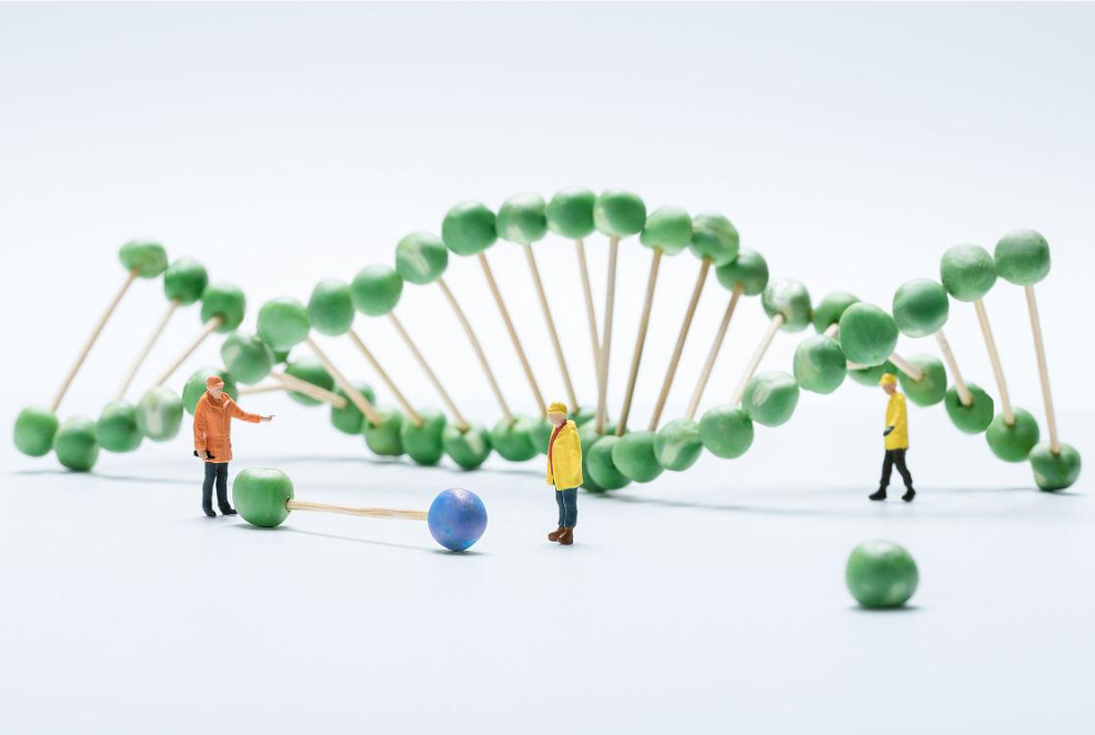 新型基因工程技术,通过引爆癌细胞的内部结构来达到治疗的效果