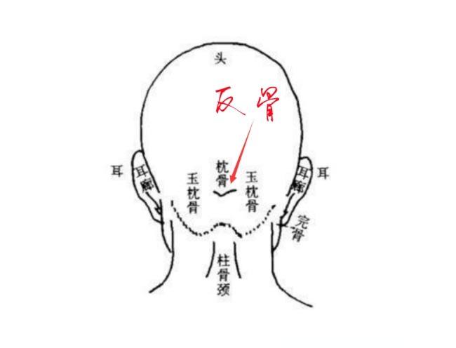 枕骨平平的男人图片