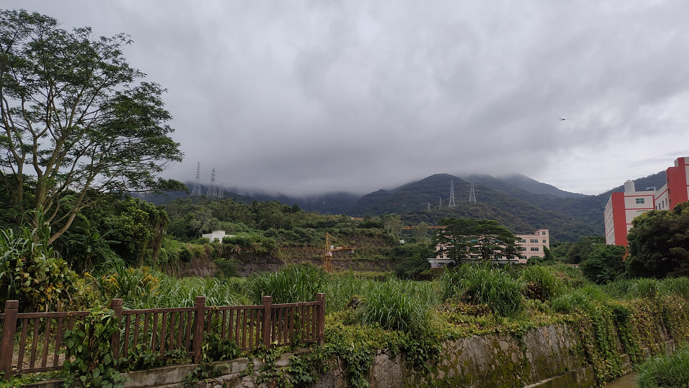 分享深圳龙岗区西坑村