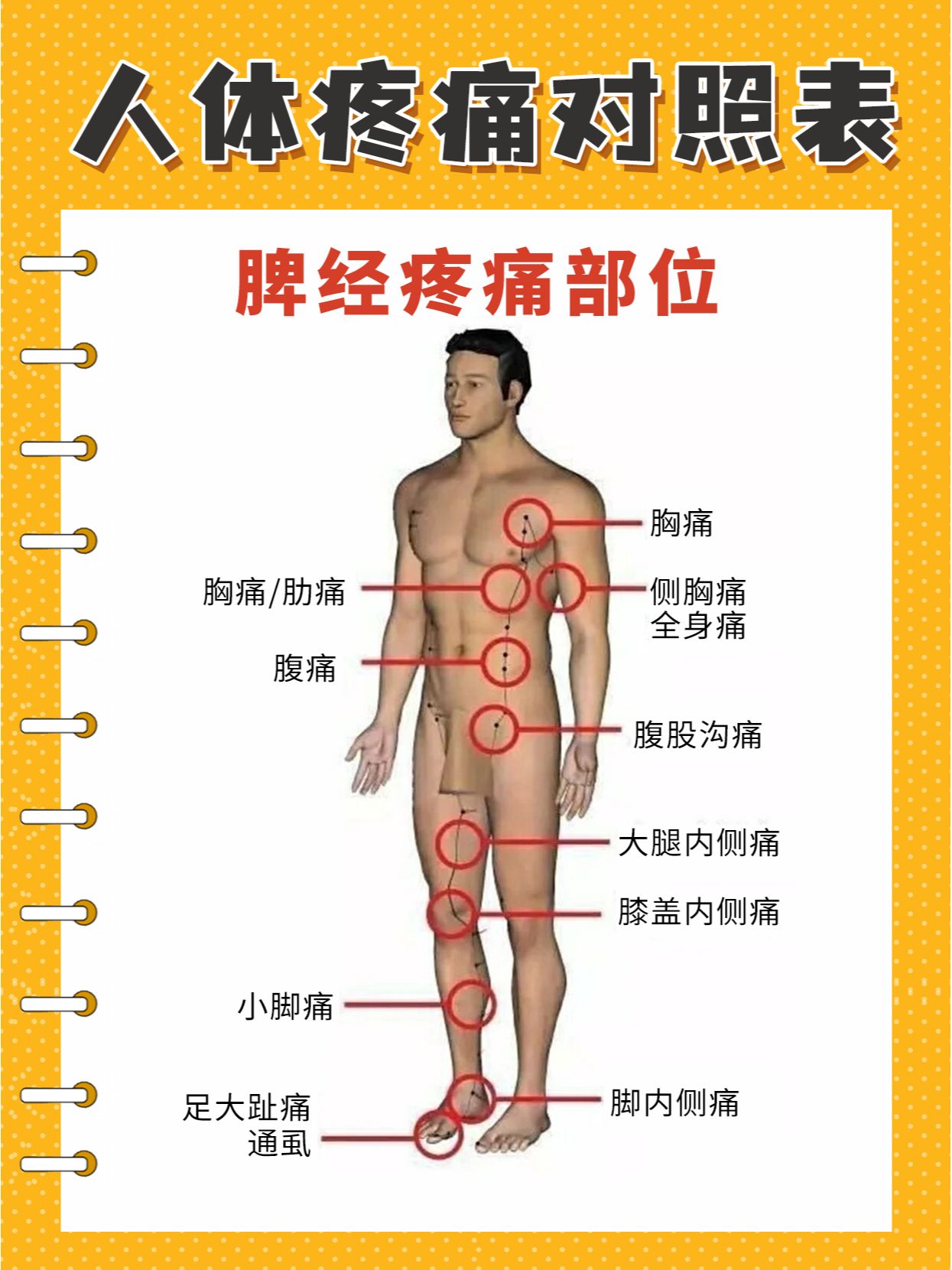 人体疼痛速查表