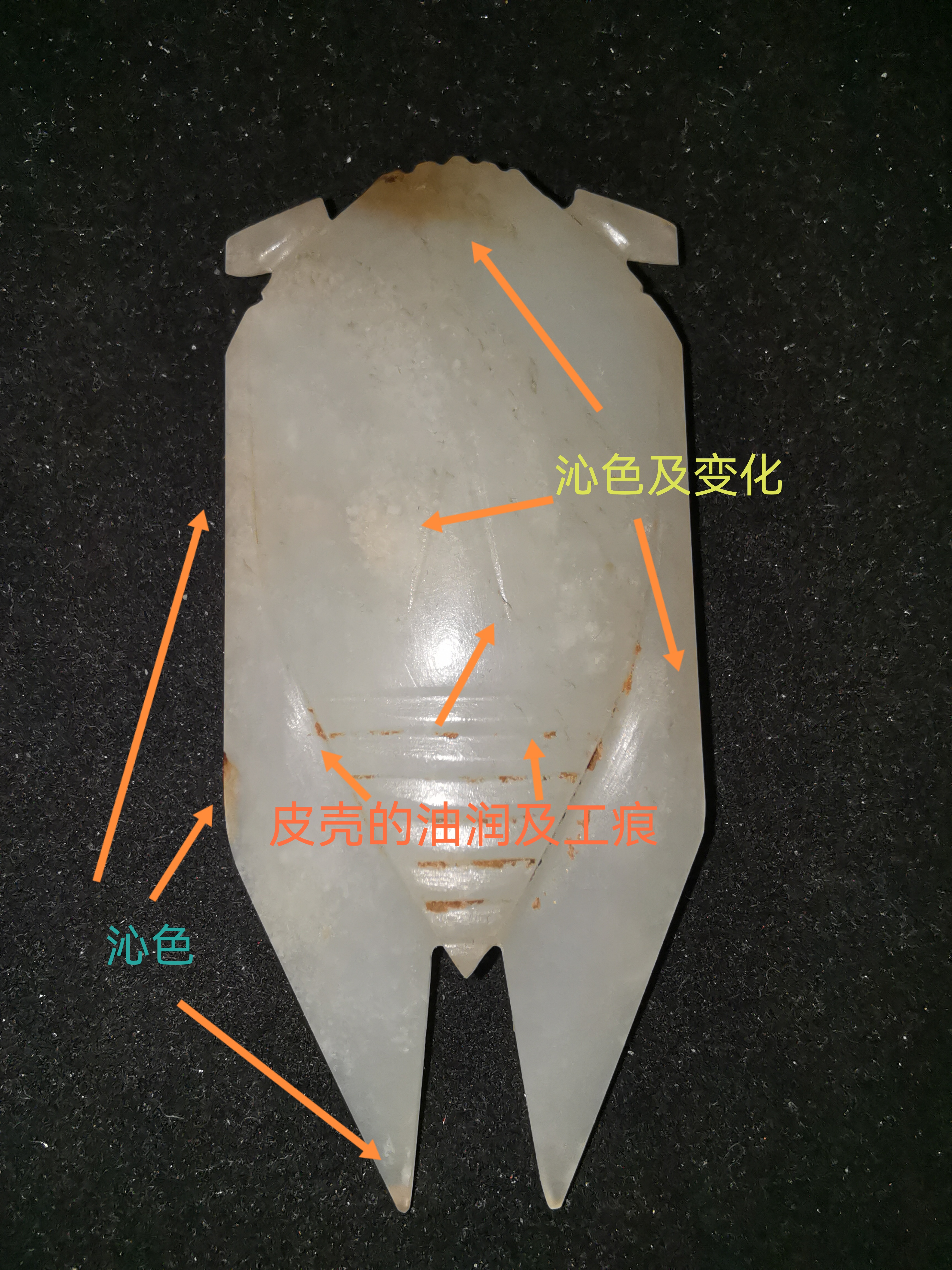 馆藏汉八刀玉蝉图片