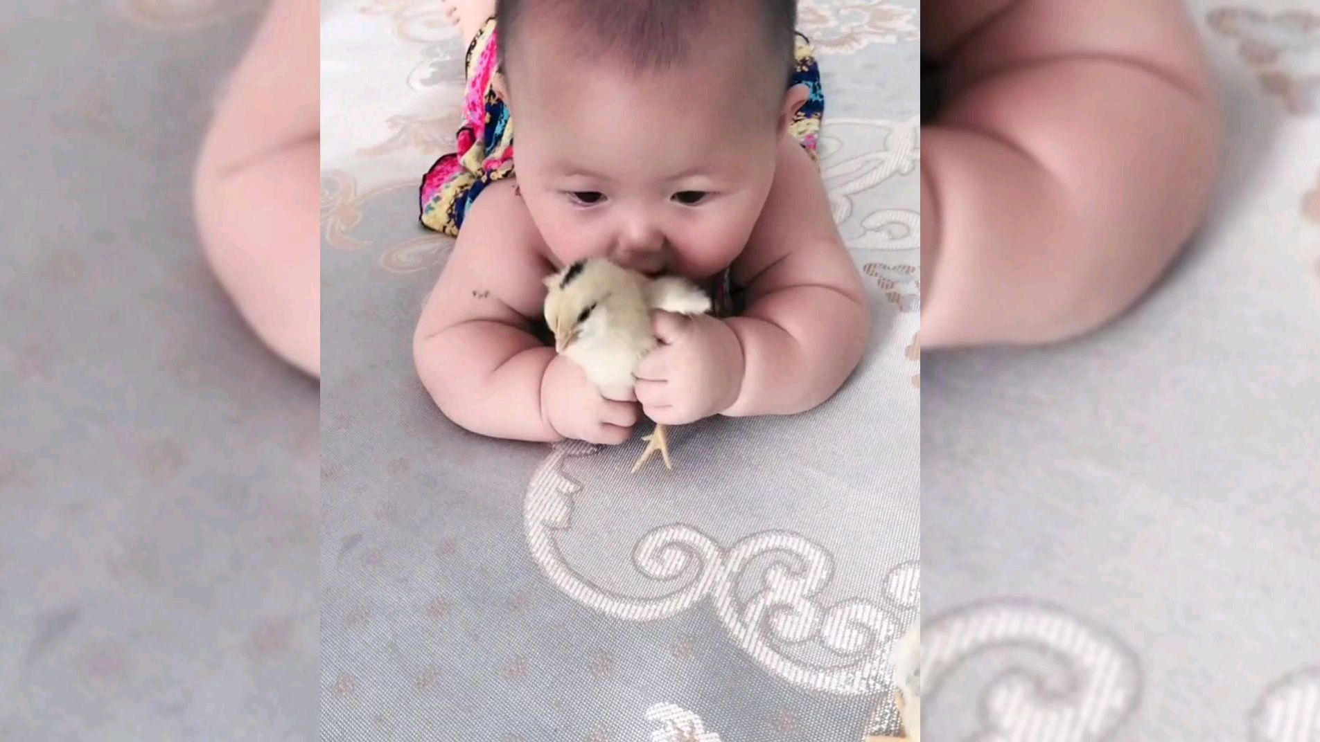 搞笑视频:半岁婴儿生吃小鸡,一岁宝宝睡醒起来哆哆嗦嗦