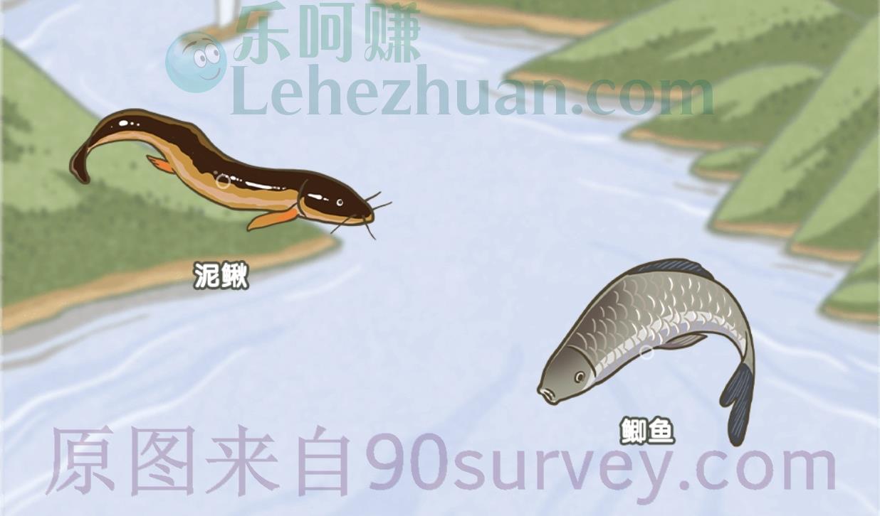 除了鳃,还能用肠道呼吸的鱼是? 除了鳃,还能用肠道呼吸的鱼是?