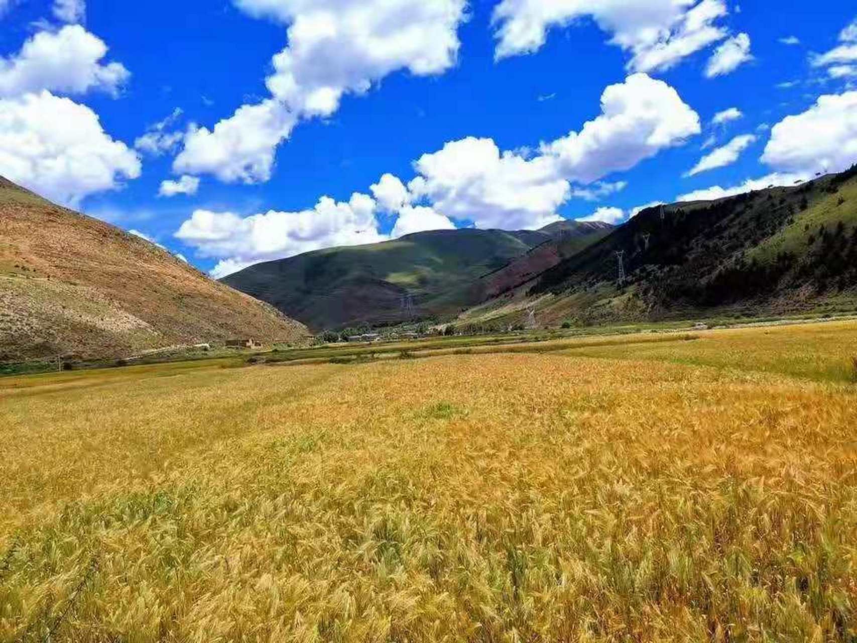 西部明珠·西部明珠vip会员卡带您领略昌都美景  西部明珠·西部明珠