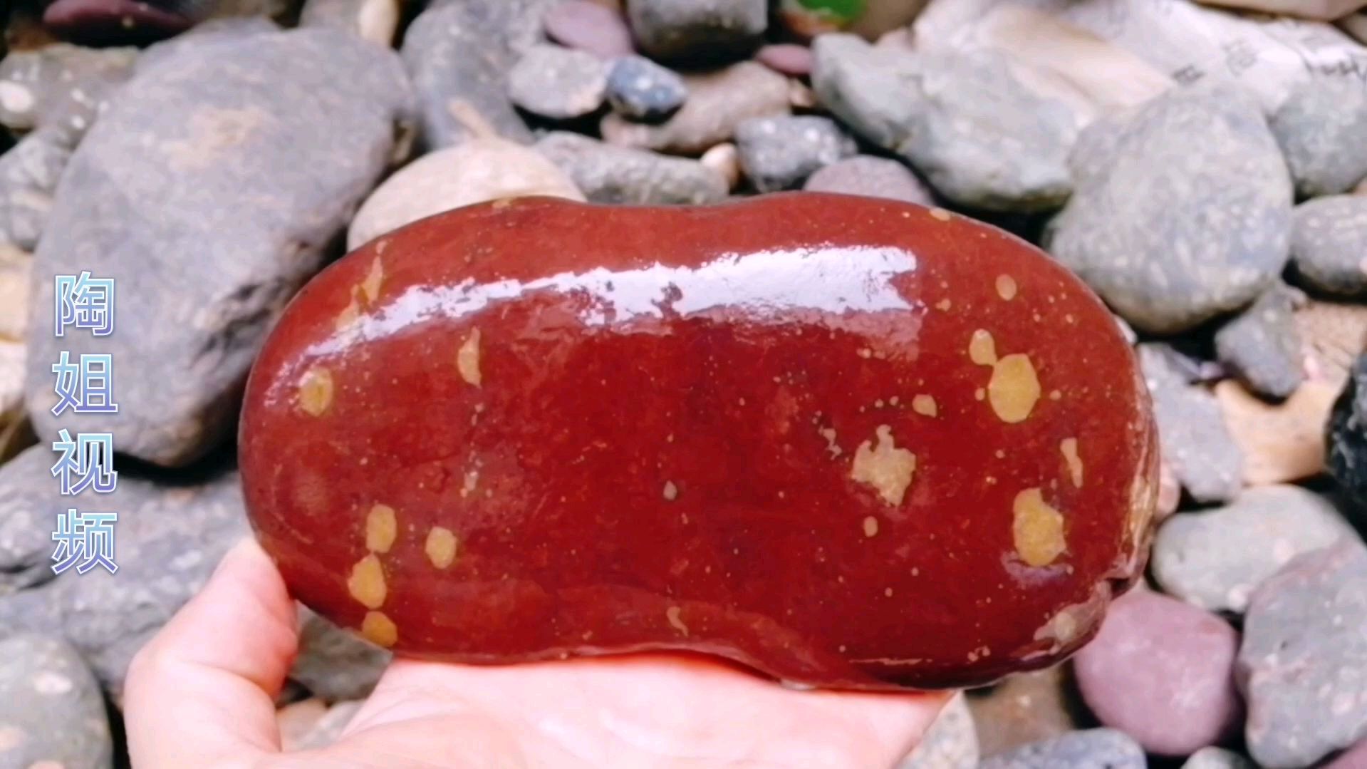 这个像鸡血石一样的石头,你遇见了千万别丢弃,很值钱