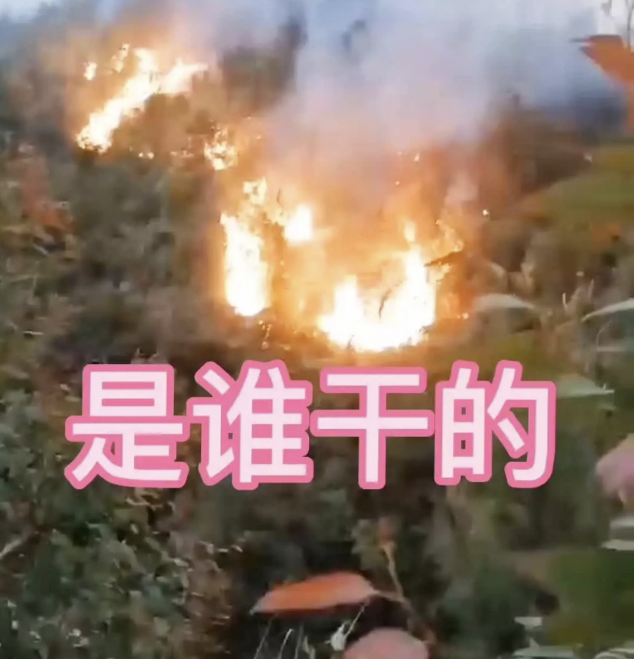 梅州大埔又发生山林大火