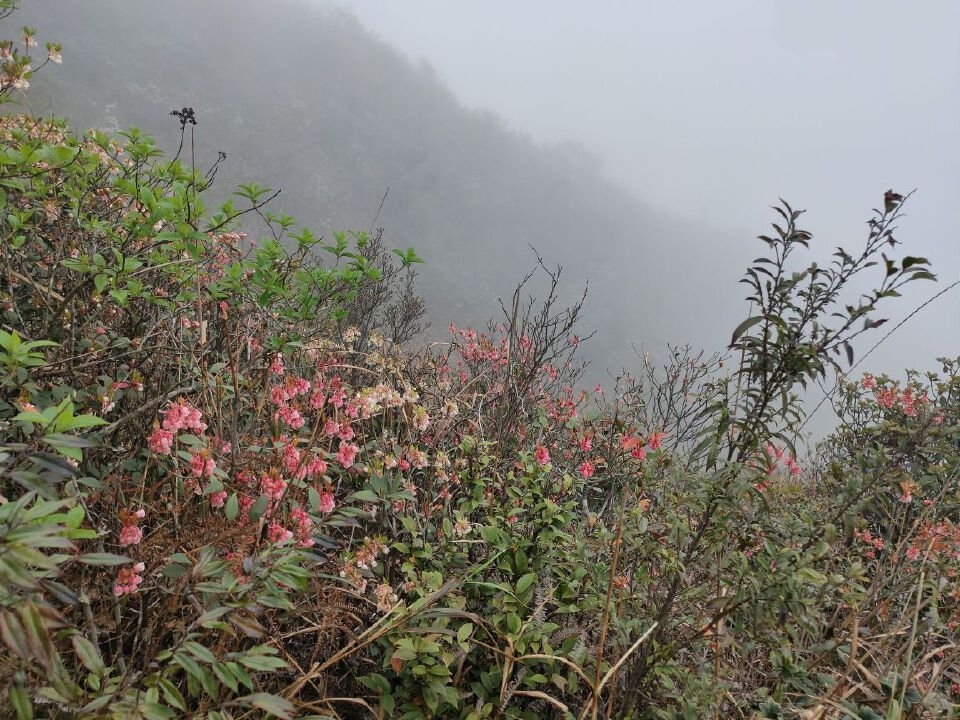 阴那山玉皇顶图片