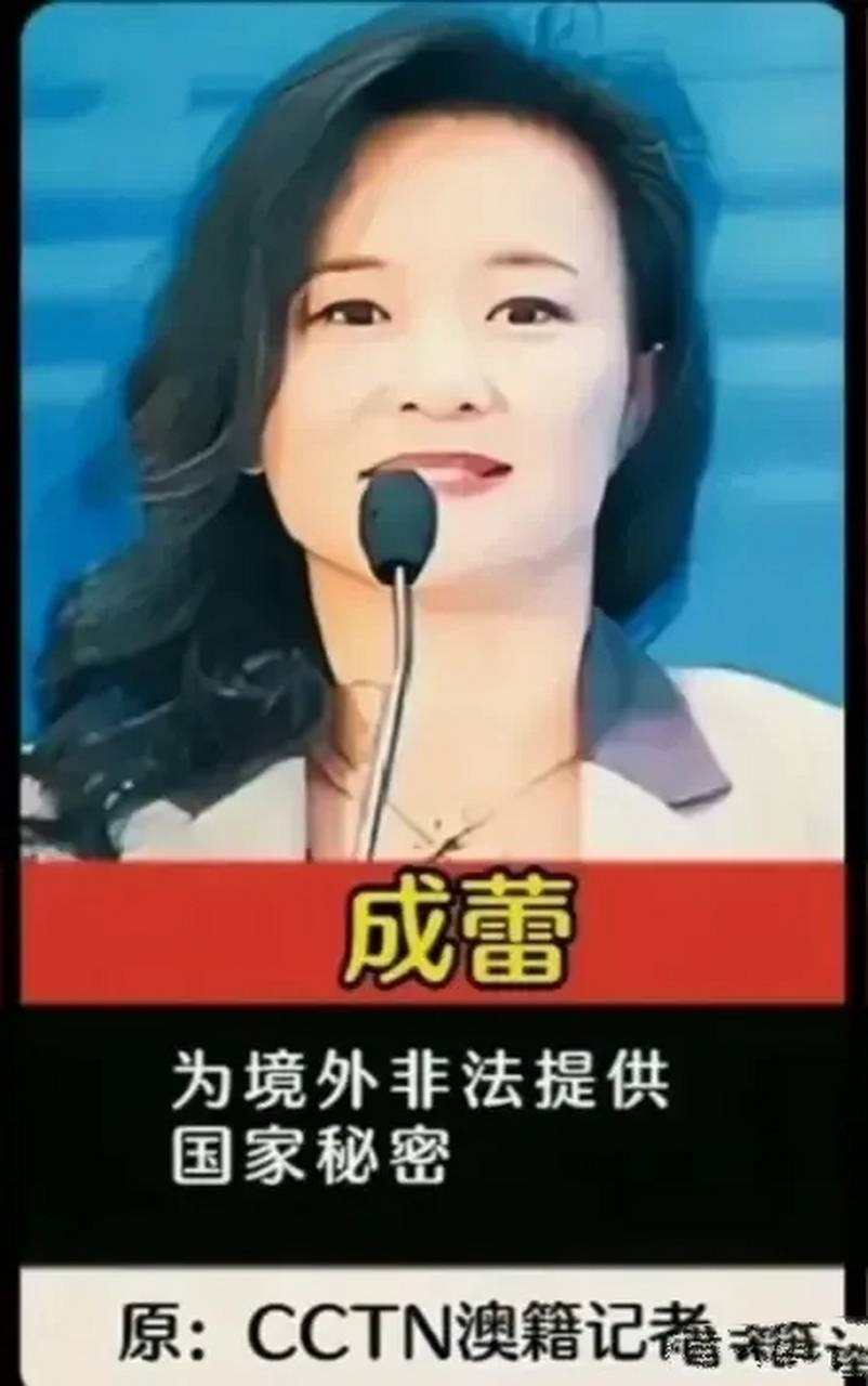 8月11日,澳大利亚电视台(abc)中文网公开程蕾首封公开信: 67