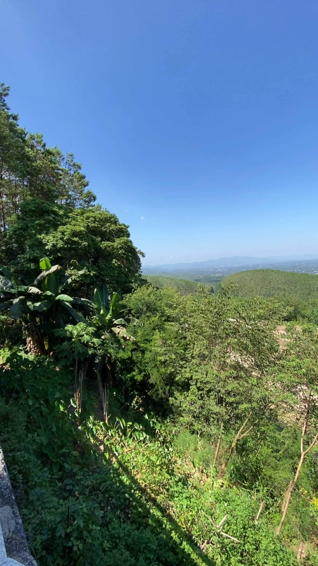 广西桂平市:龙潭国家级森林公园-度小视