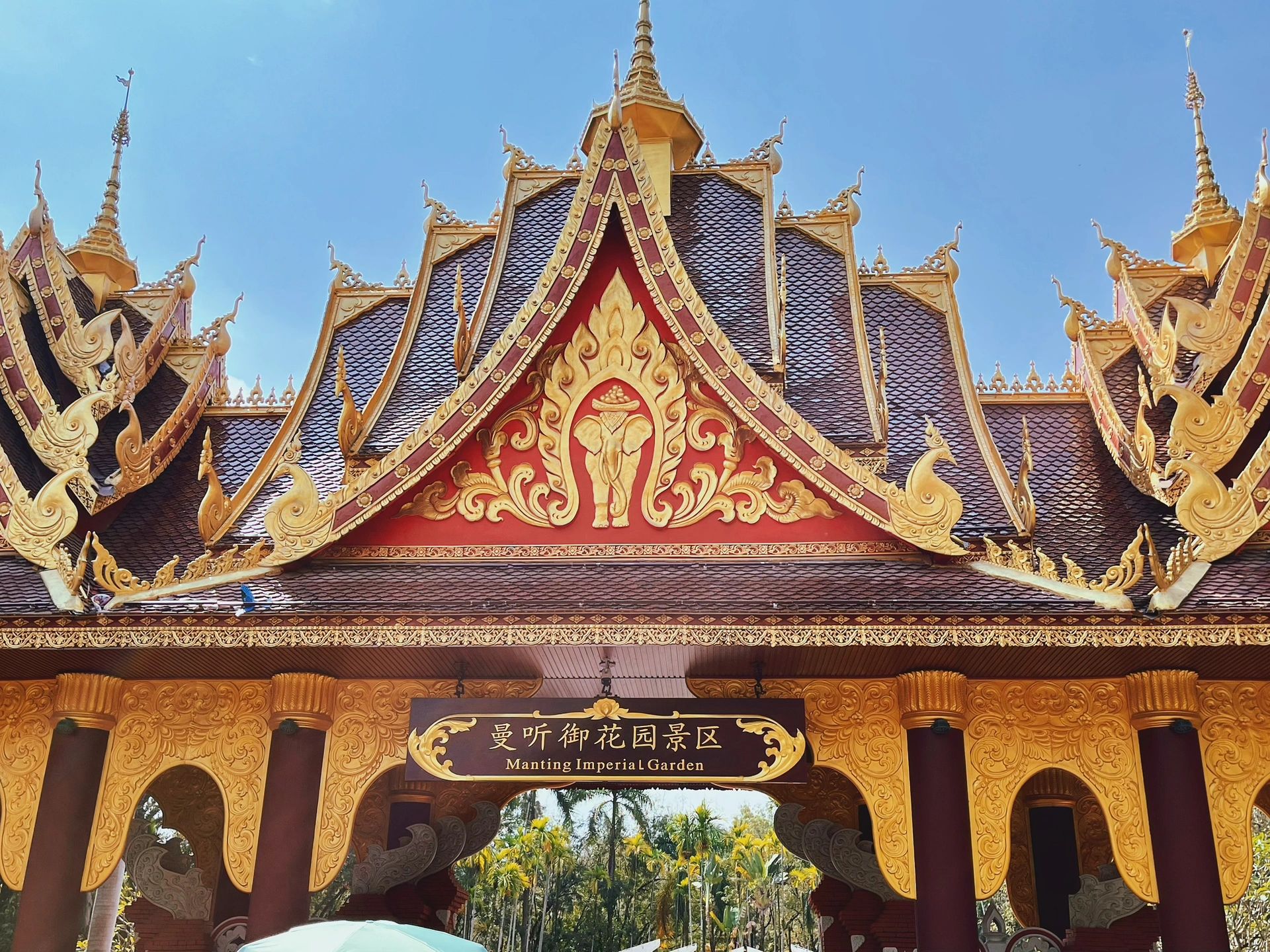 西双版纳:热带天堂的绝美秘境,让你惊艳到无法自拔!