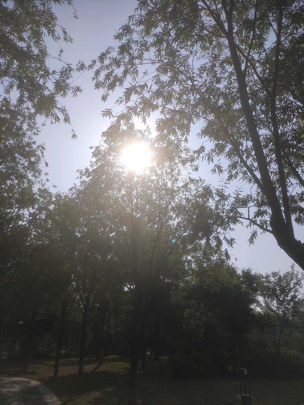 天氣預報有雨