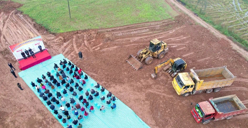 万吨涪陵榨菜项目落户四川阆中