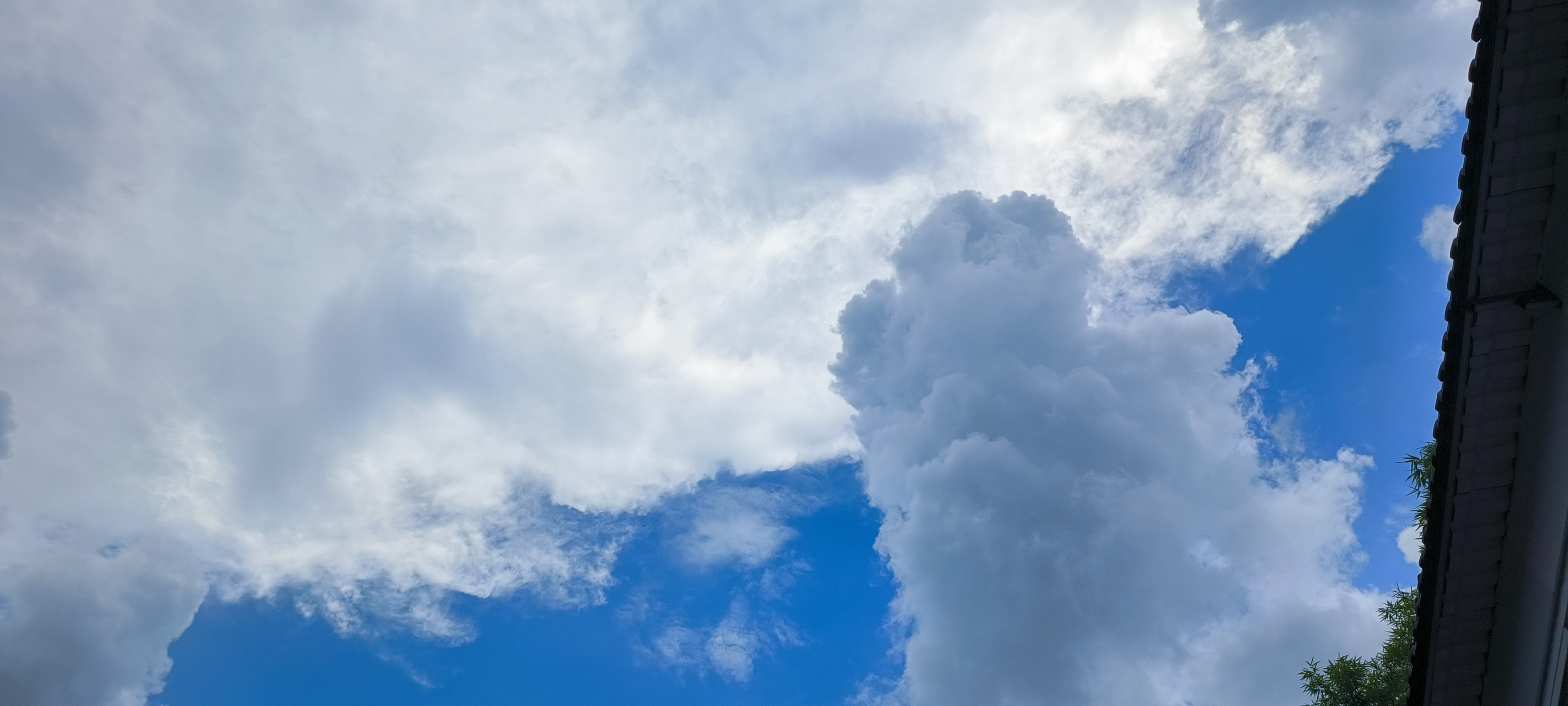 闷热的天,云层即将盖顶.#照片# #壁纸# #天空