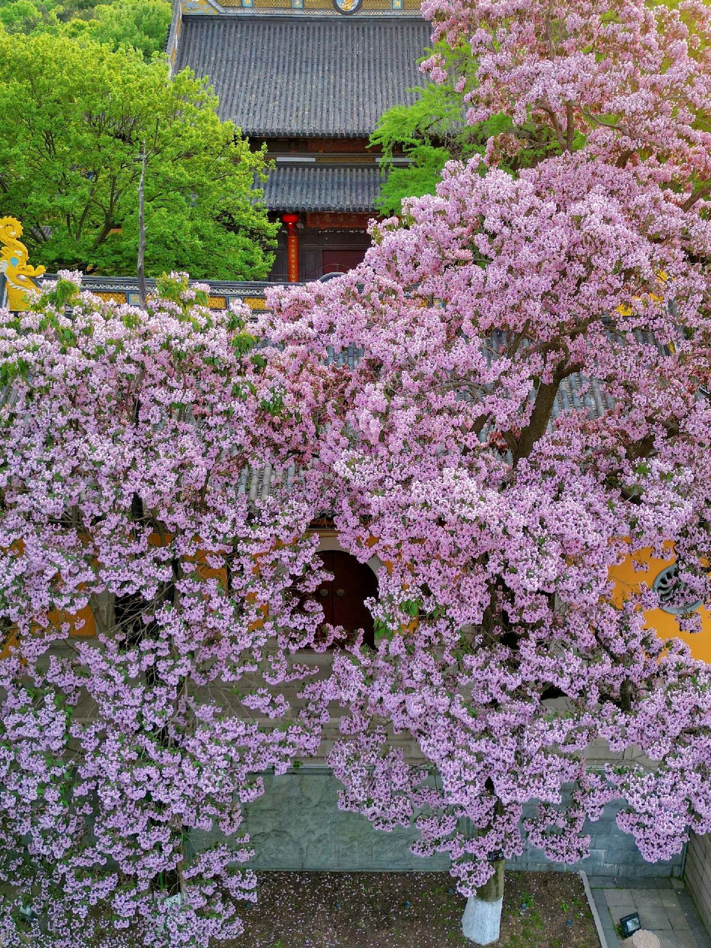 常熟三峰清凉禅寺