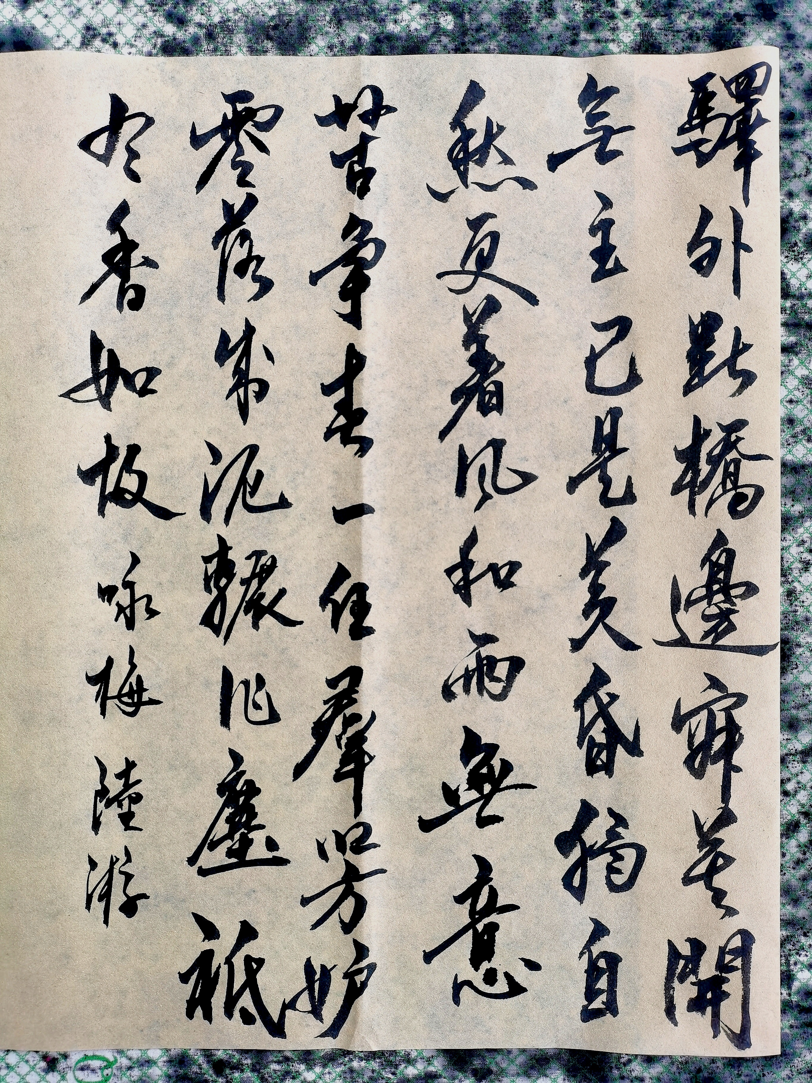 诗词书法欣赏:卜算子.咏梅(陆游)