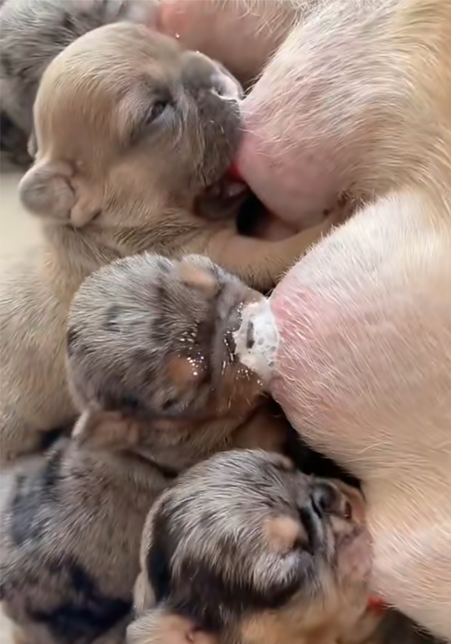 吃的鼻子冒泡,最开心幸福的日子
