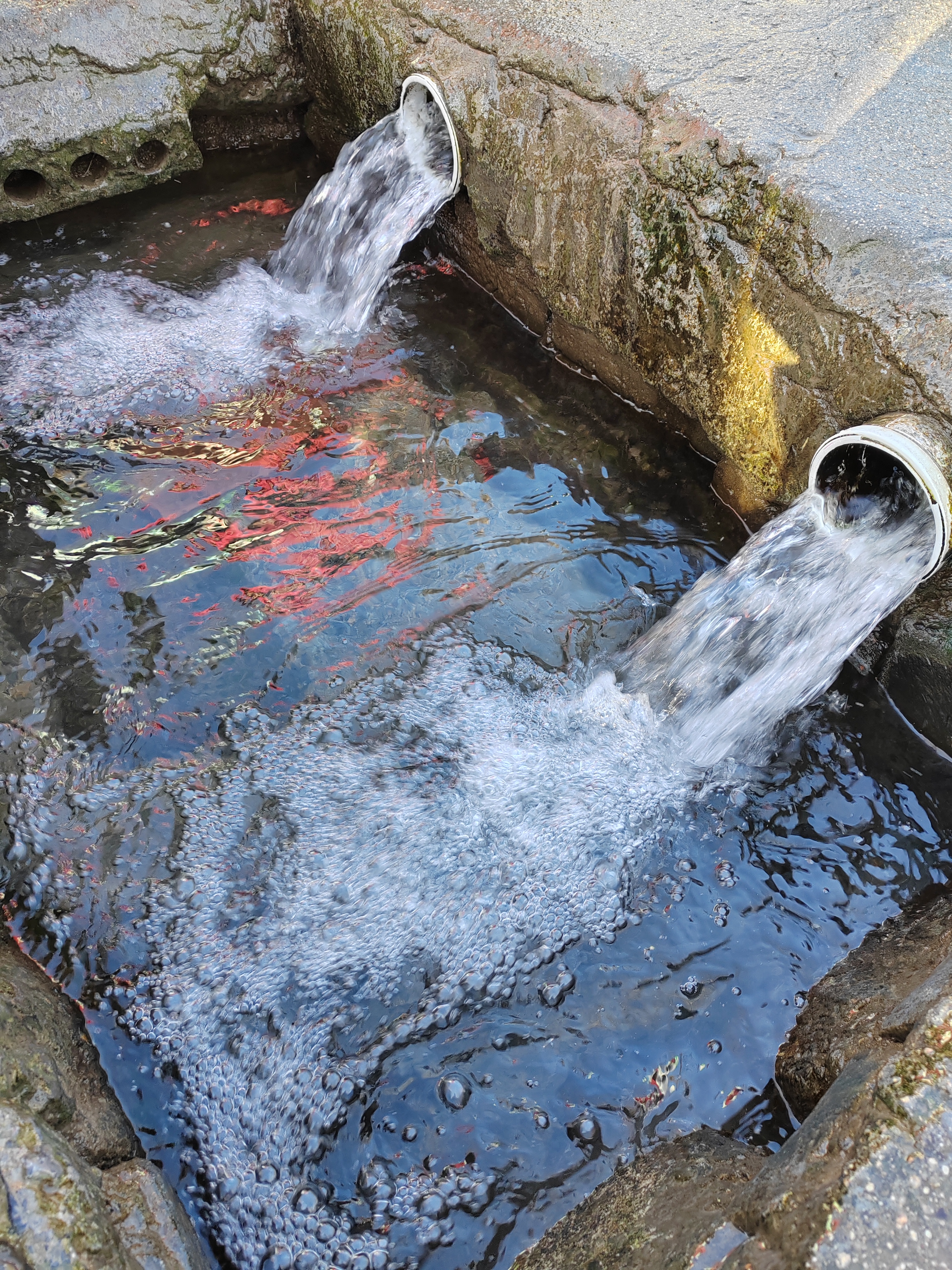 济南名泉之白泉