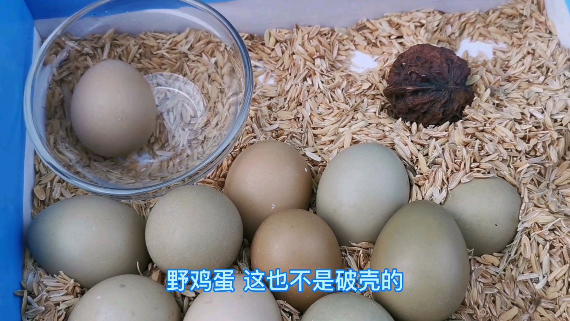 密山红卫街早市啥都有卖的,野生鱼,野鸡蛋,树莓你吃过吗?
